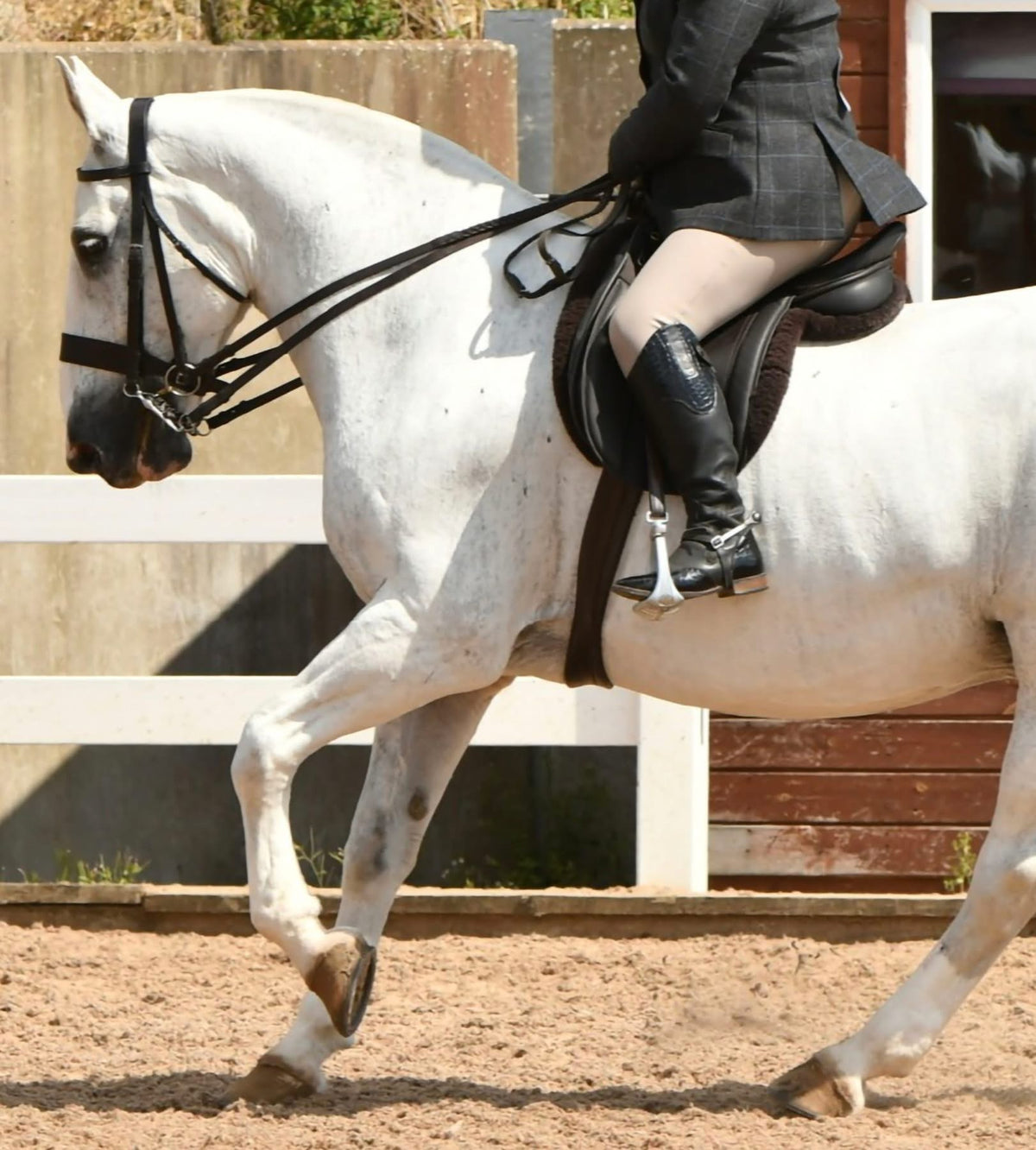 Stain removers & grey horses
