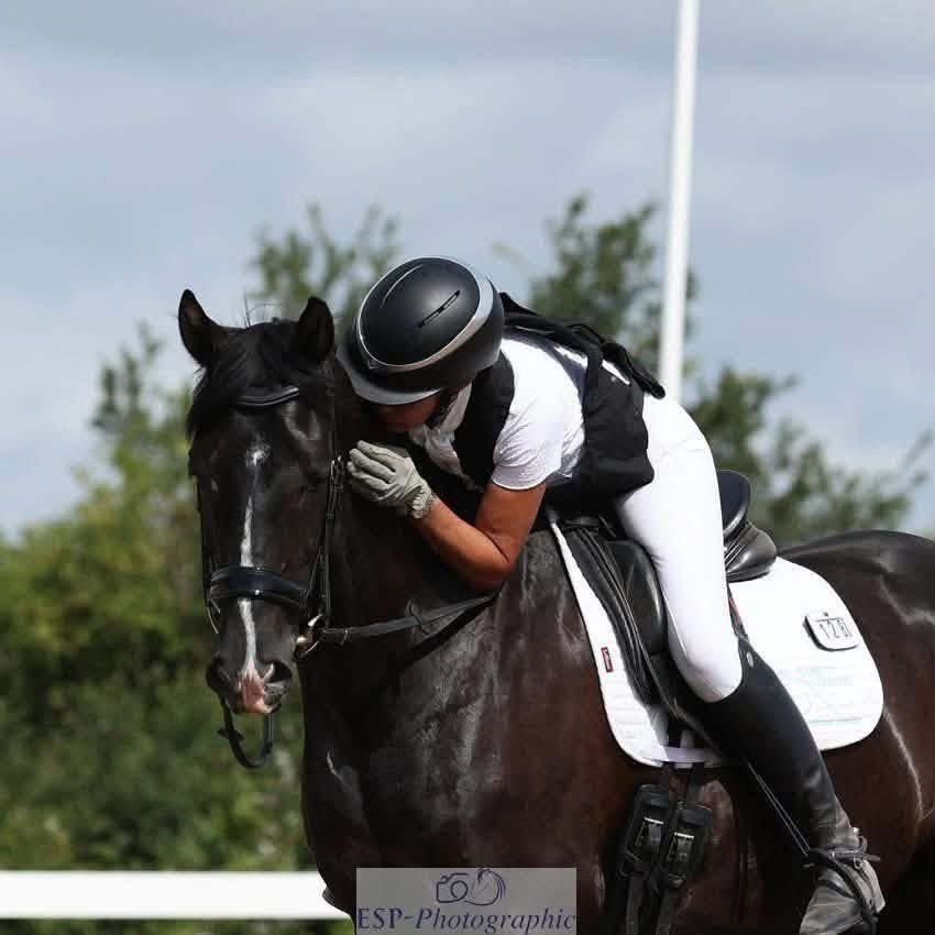 Dressage