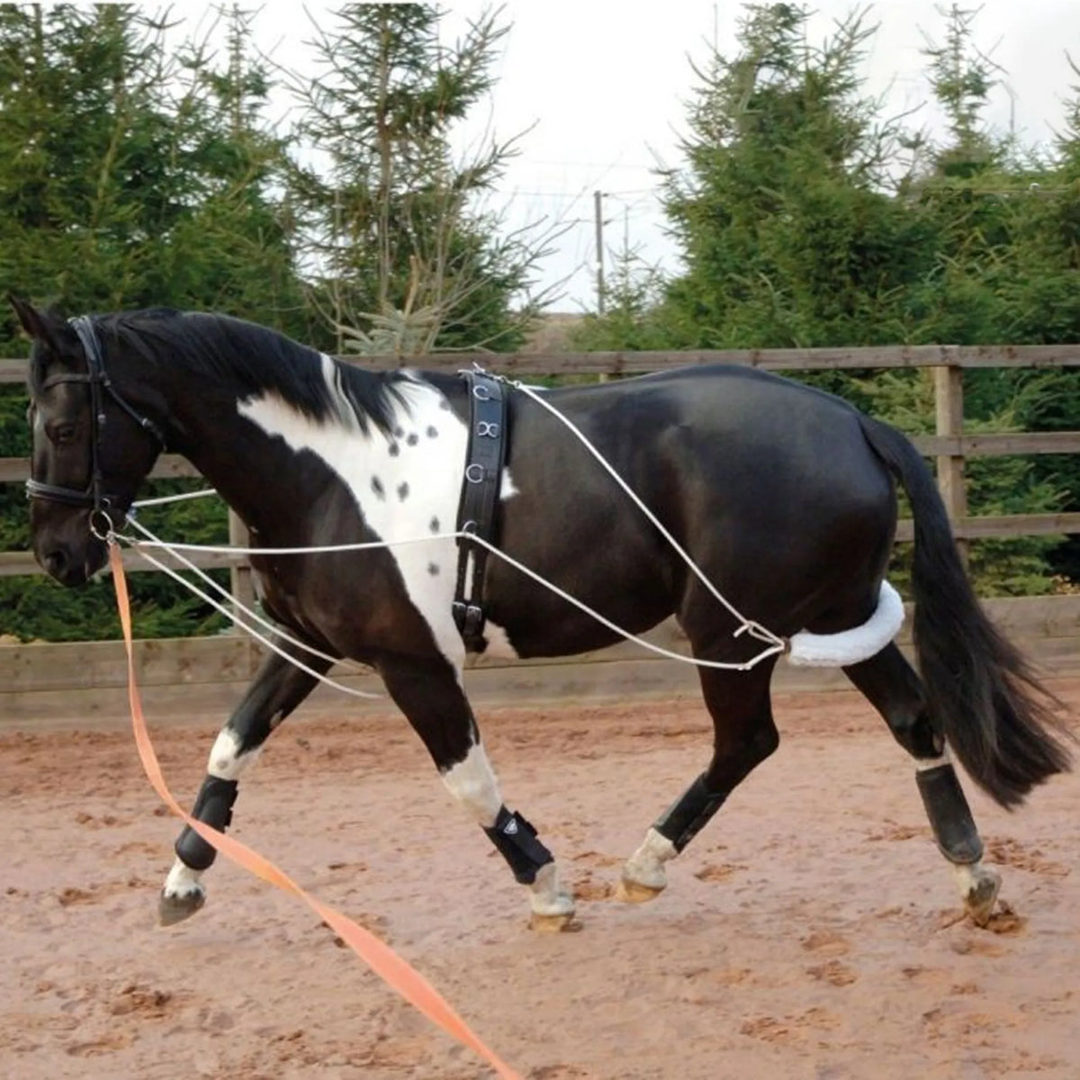 GFS Training Aid