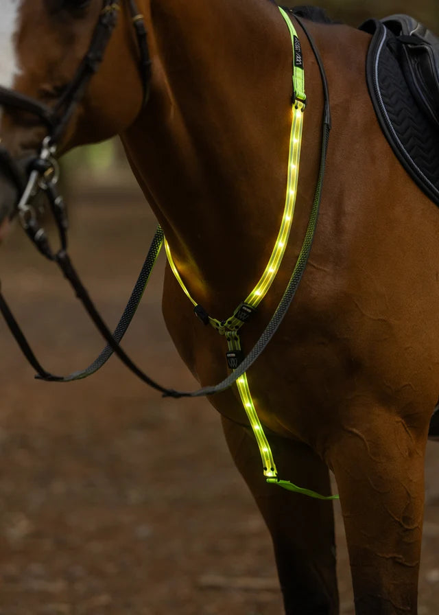 Woof Wear LED Neckband