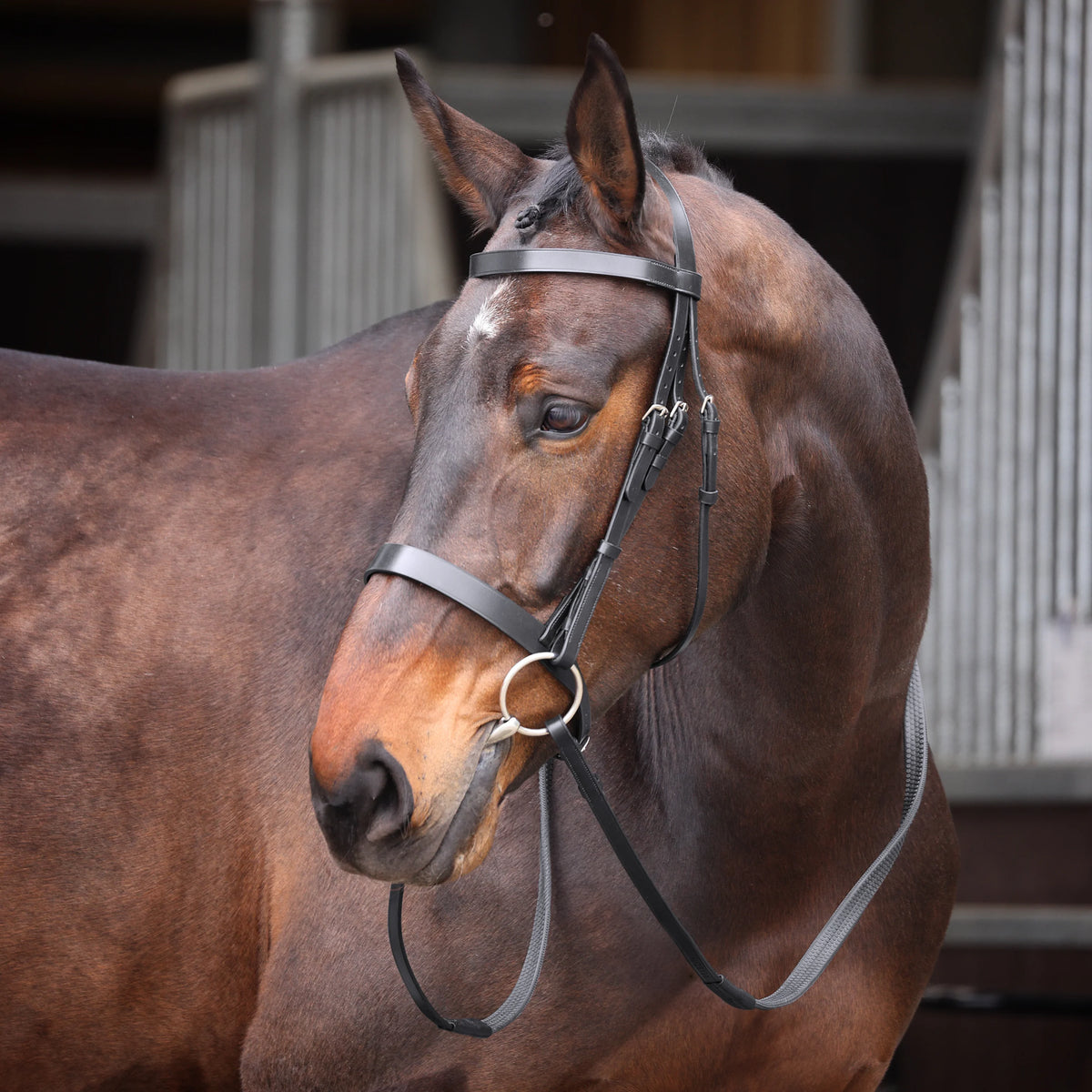 Shires Velociti Gara Plain Bridle