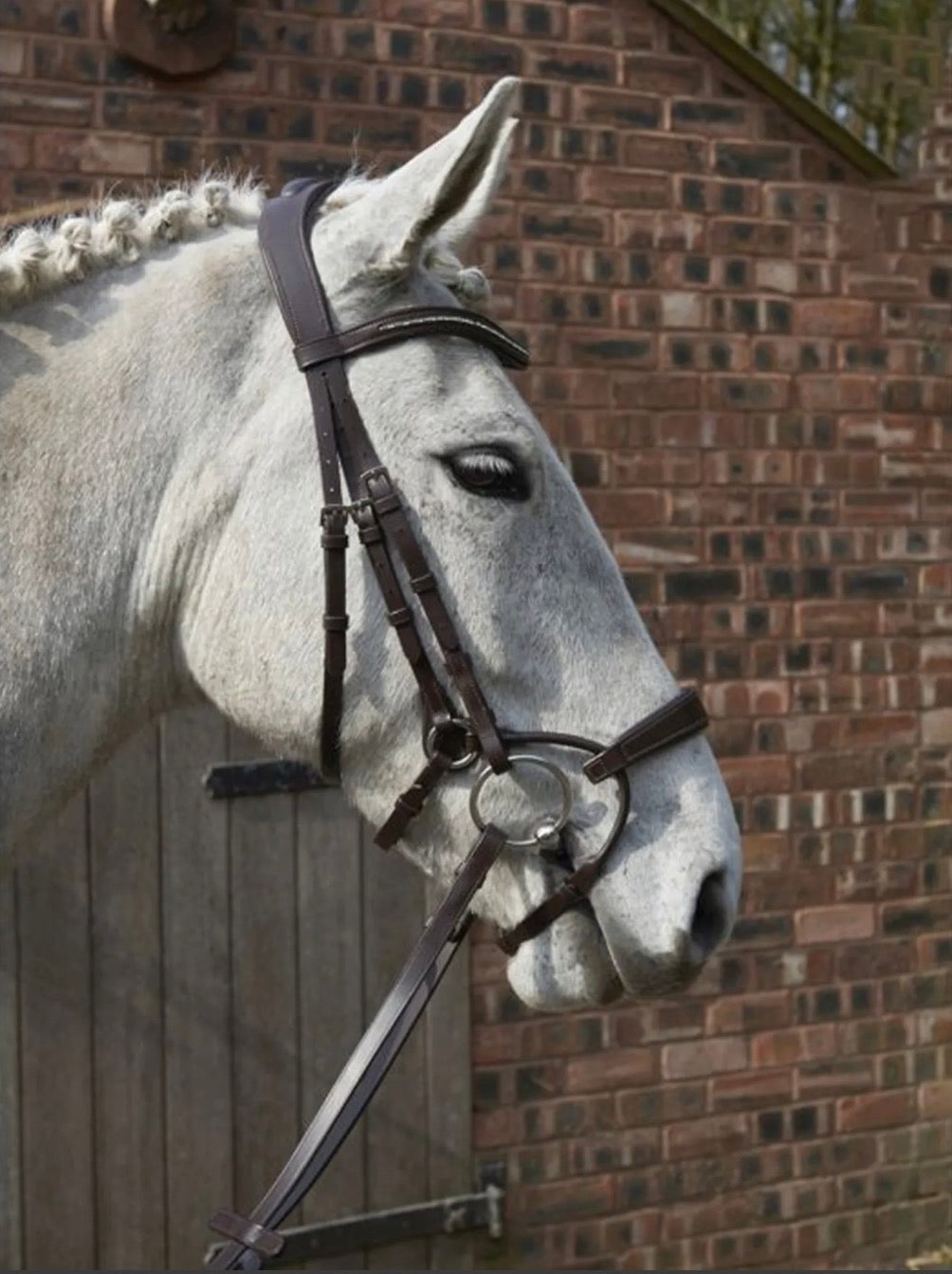 GFS Harmony Bridle