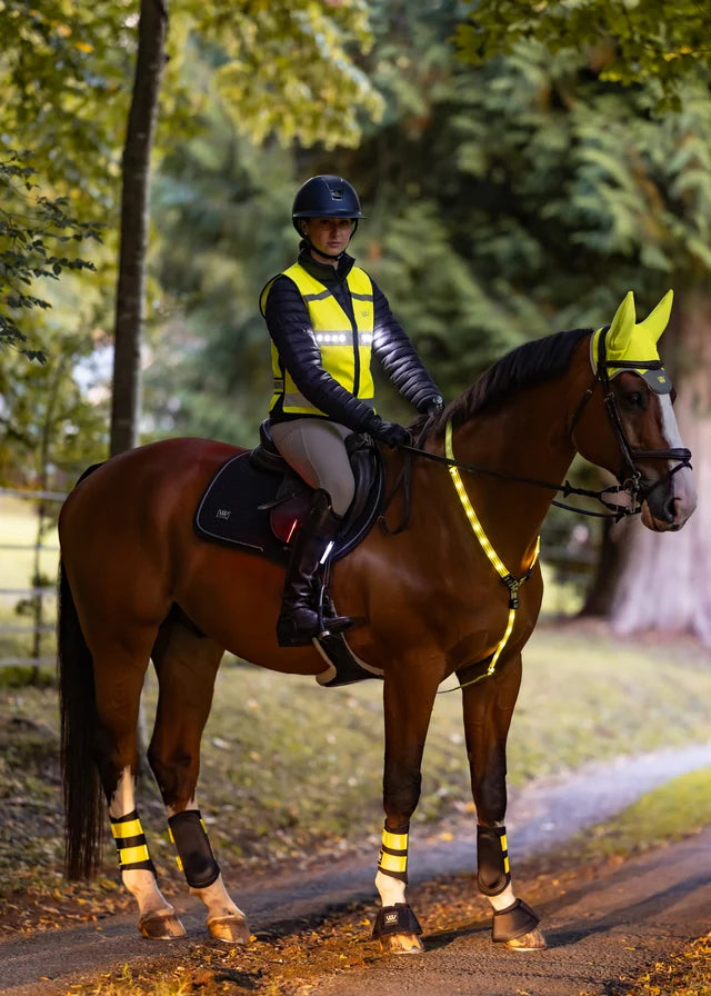 Woof Wear 3in1 Rider Safety Lights