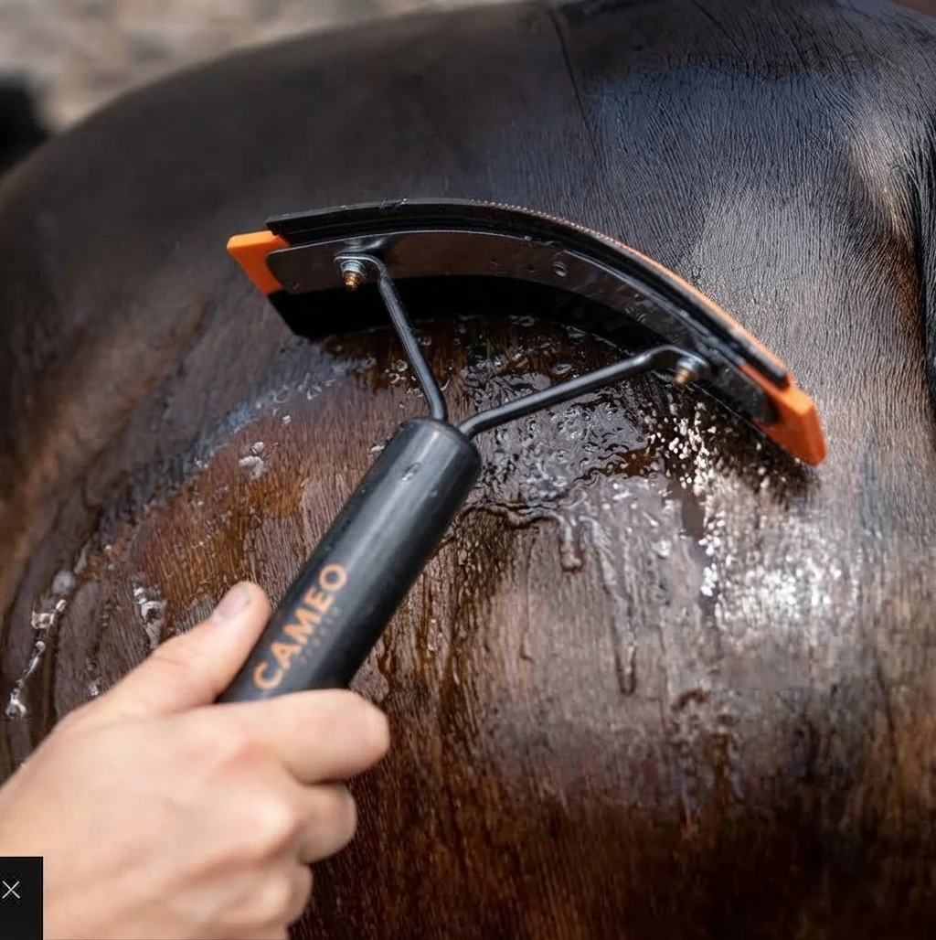 Cameo core sweat scraper