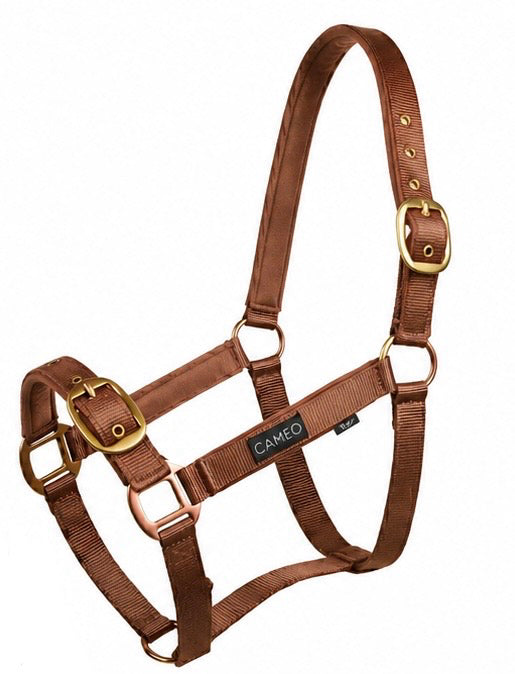 Cameo Equine Suede Padded Headcollar