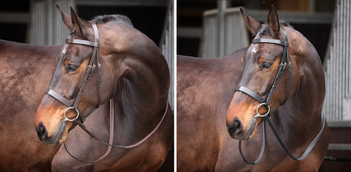 Shires Velociti Gara Plain Bridle