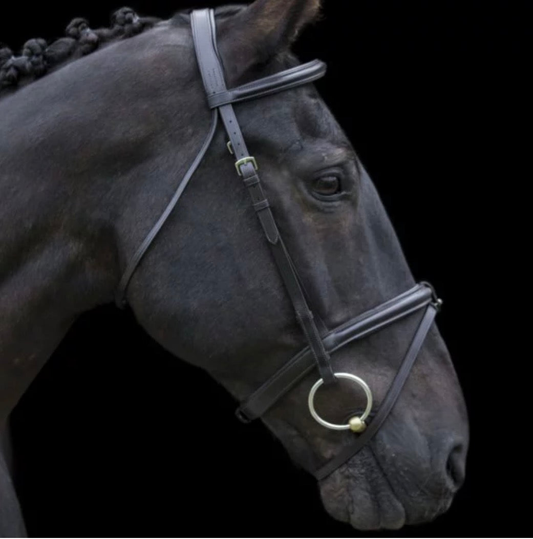 Ecorider Classic Comfort Bridle