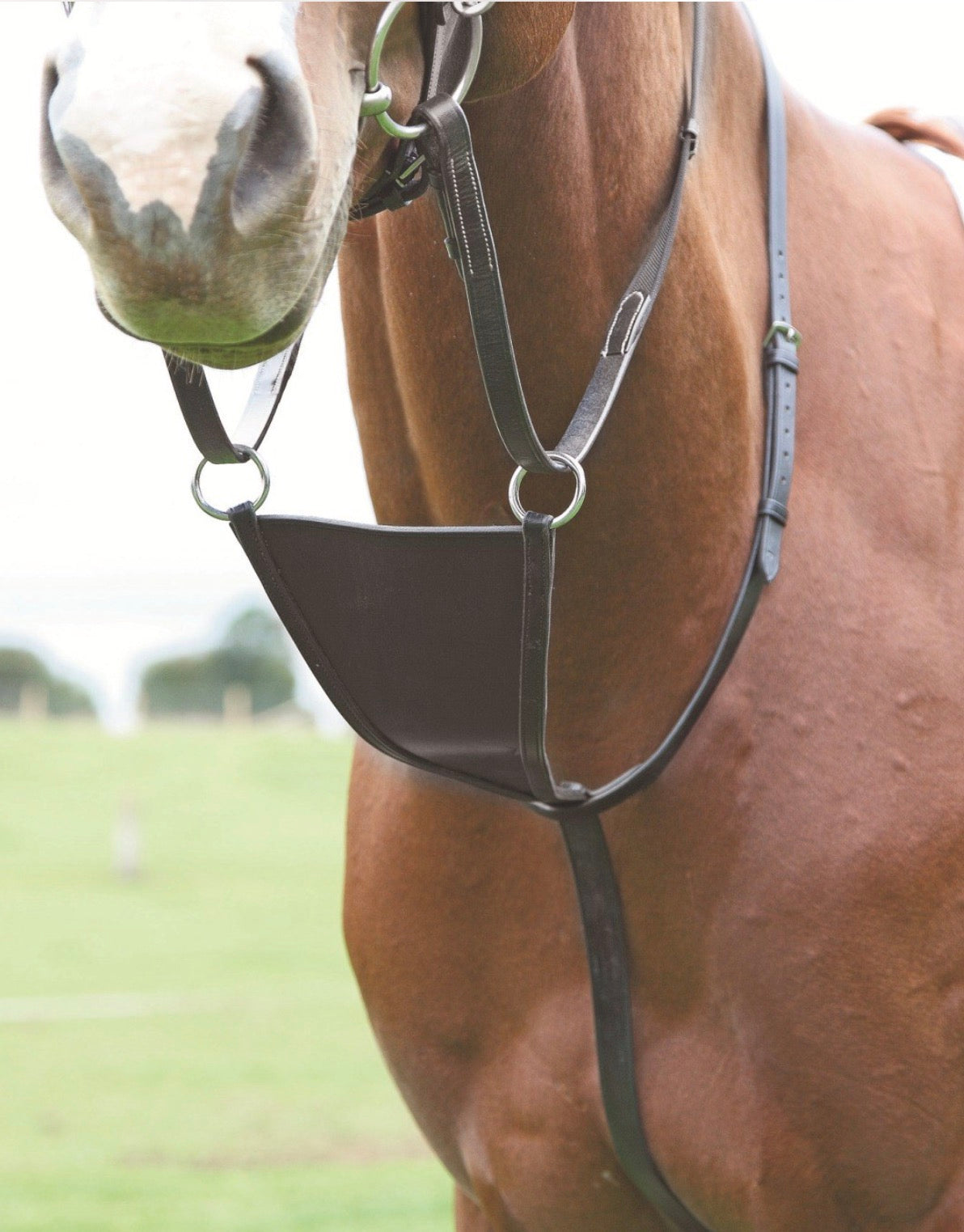 Shires Blenheim Bib Martingale