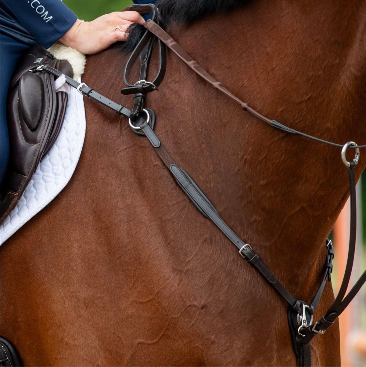 GFS Breastplate