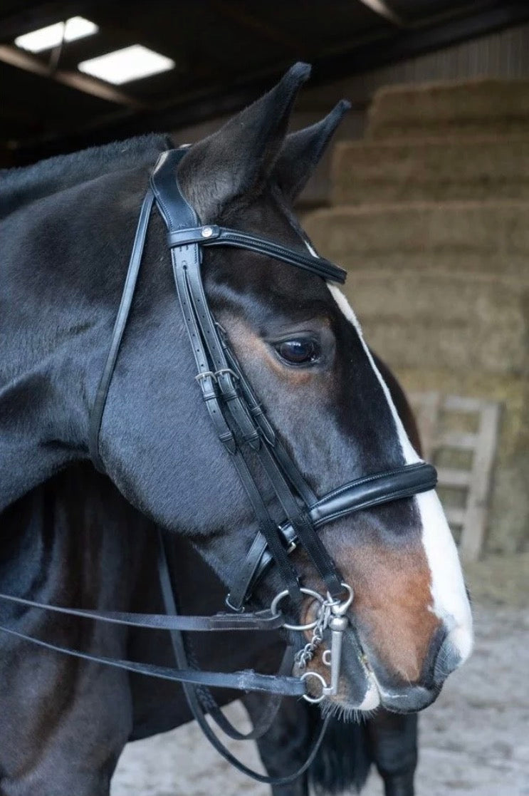 EcoRider Freedom Double Bridle