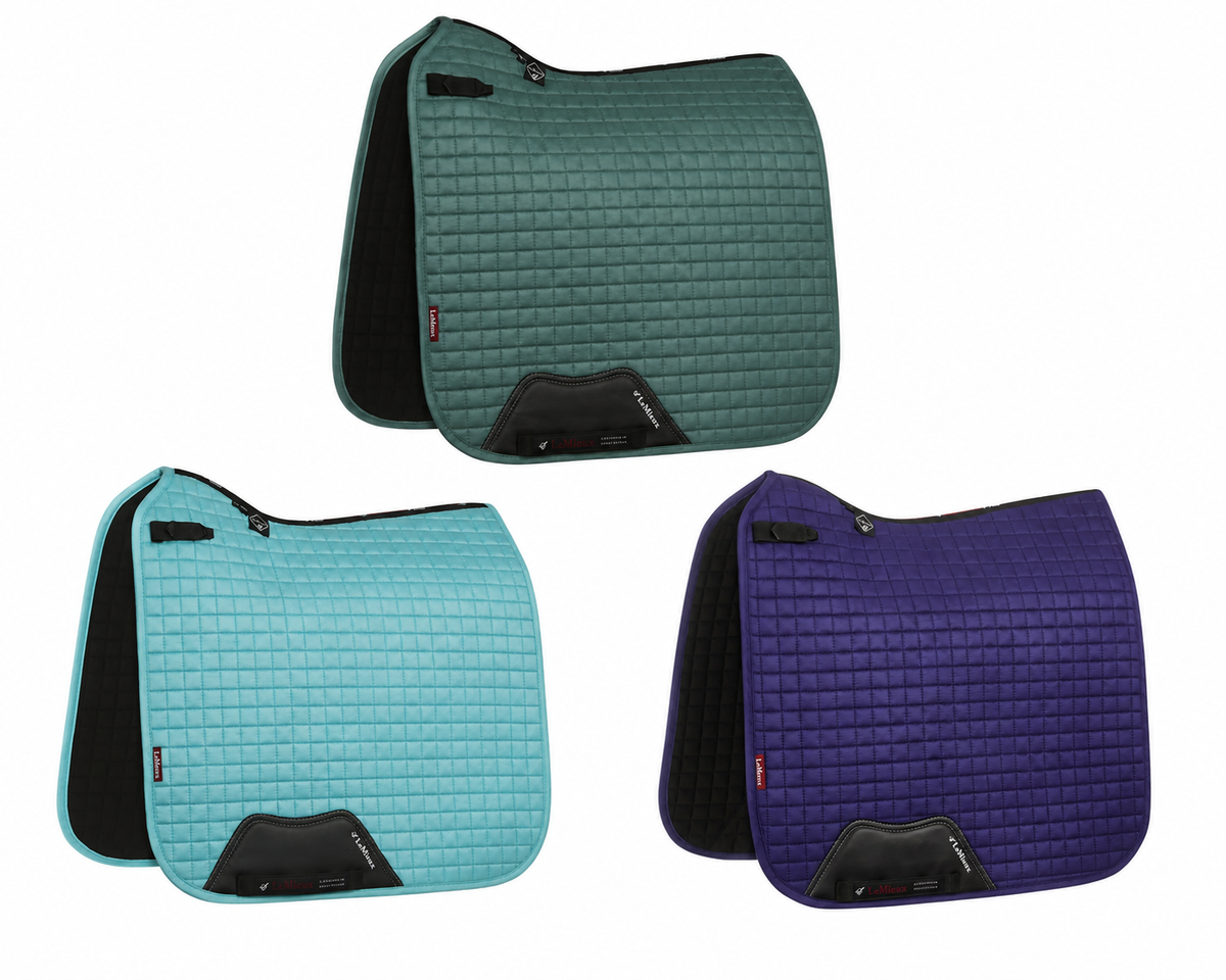 Lemieux Suede Dressage Square