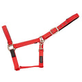 Cameo Equine Field Safe Reflective Headcollar