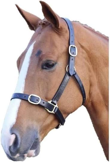Shires Blenheim Leather Headcollar
