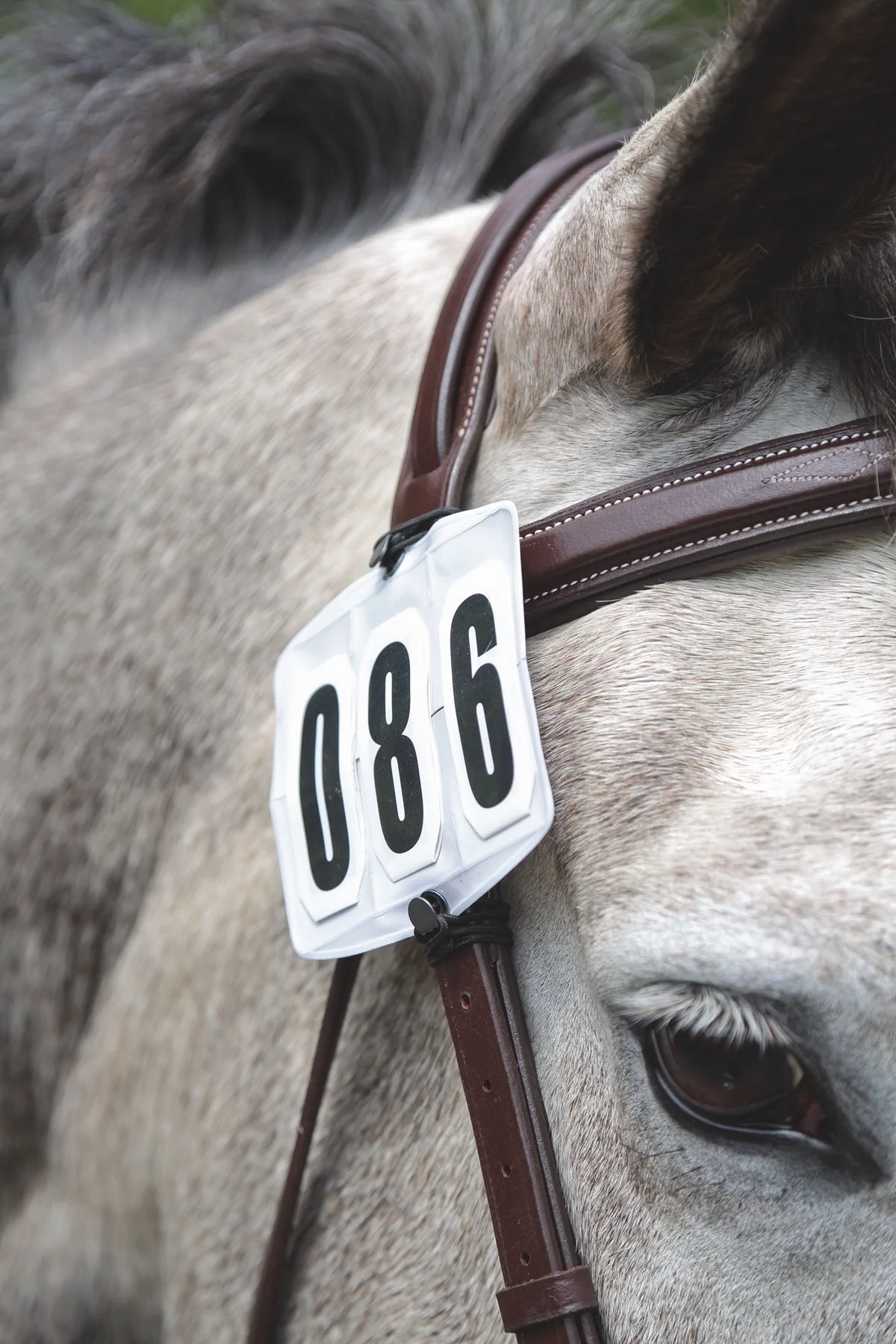 Shires Competition Number Kit