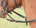 Shires Flexi-Rein