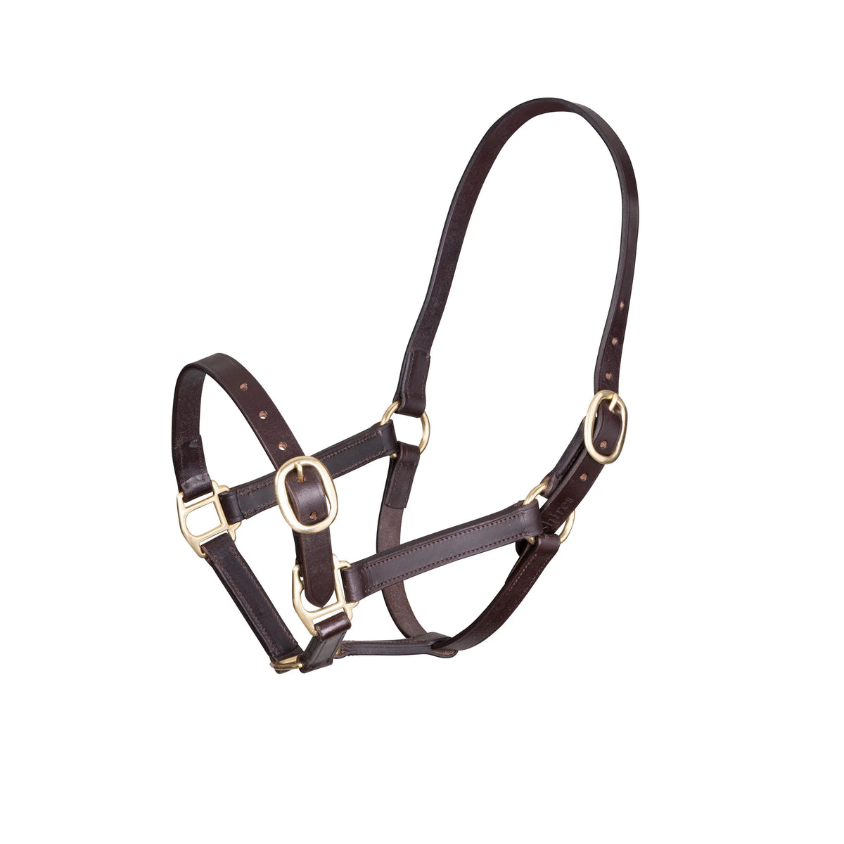Shires Velociti Gara Foal size Adjustable Leather Headcollar