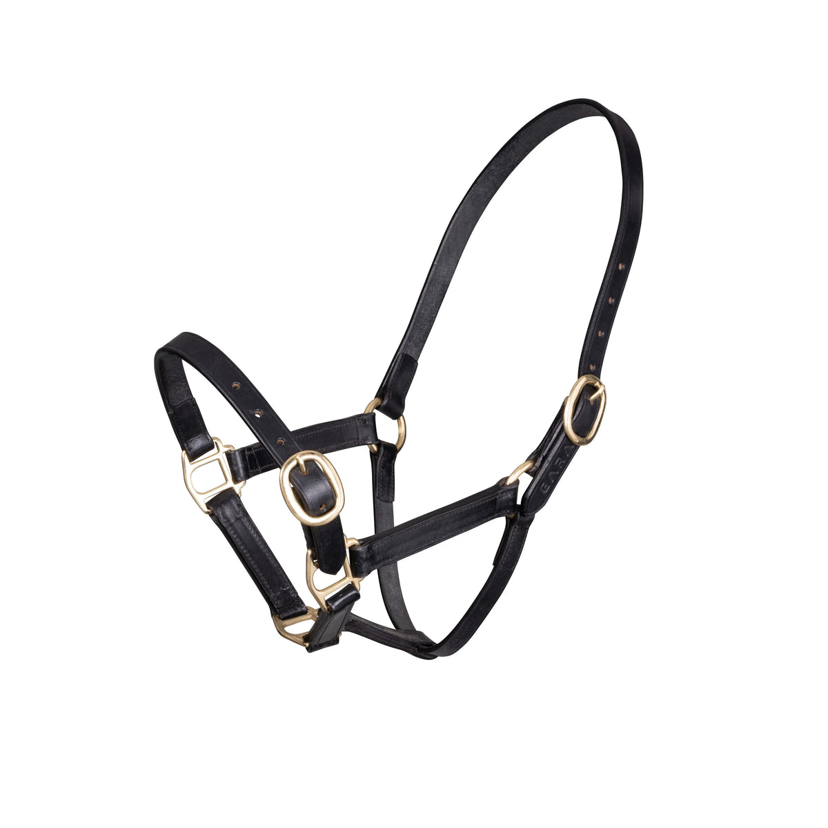 Shires Velociti Gara Foal size Adjustable Leather Headcollar