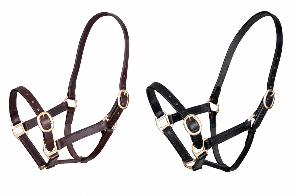 Shires Velociti Gara Foal size Adjustable Leather Headcollar