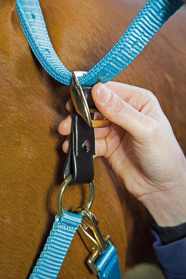 Shires Velociti Gara Headcollar Breakaway Attachment