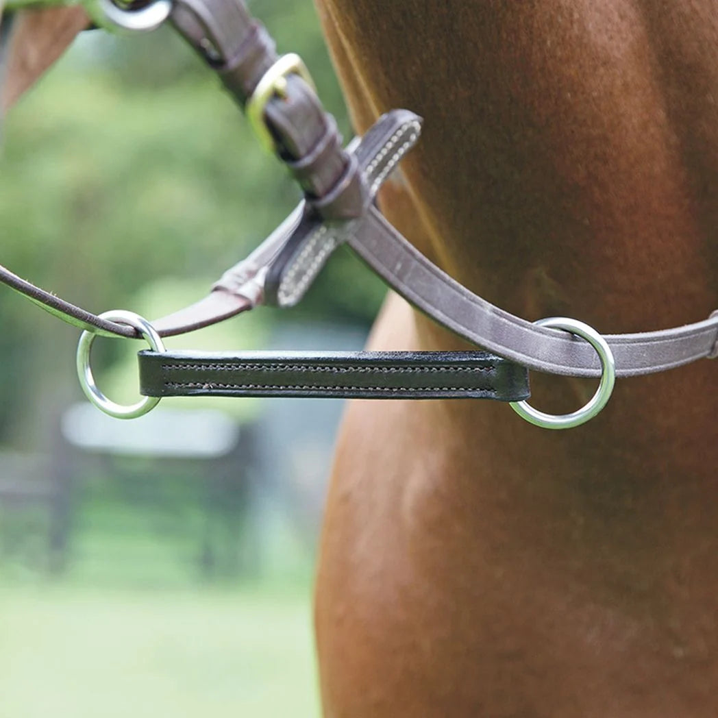 Shires Blenheim Irish Martingale