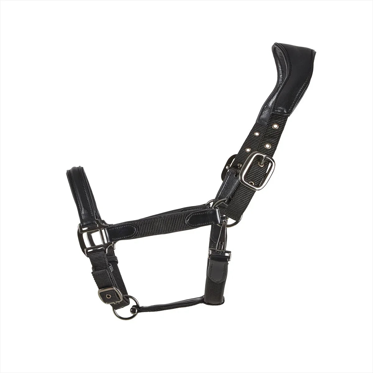 Cameo Equine Elevate Headcollar