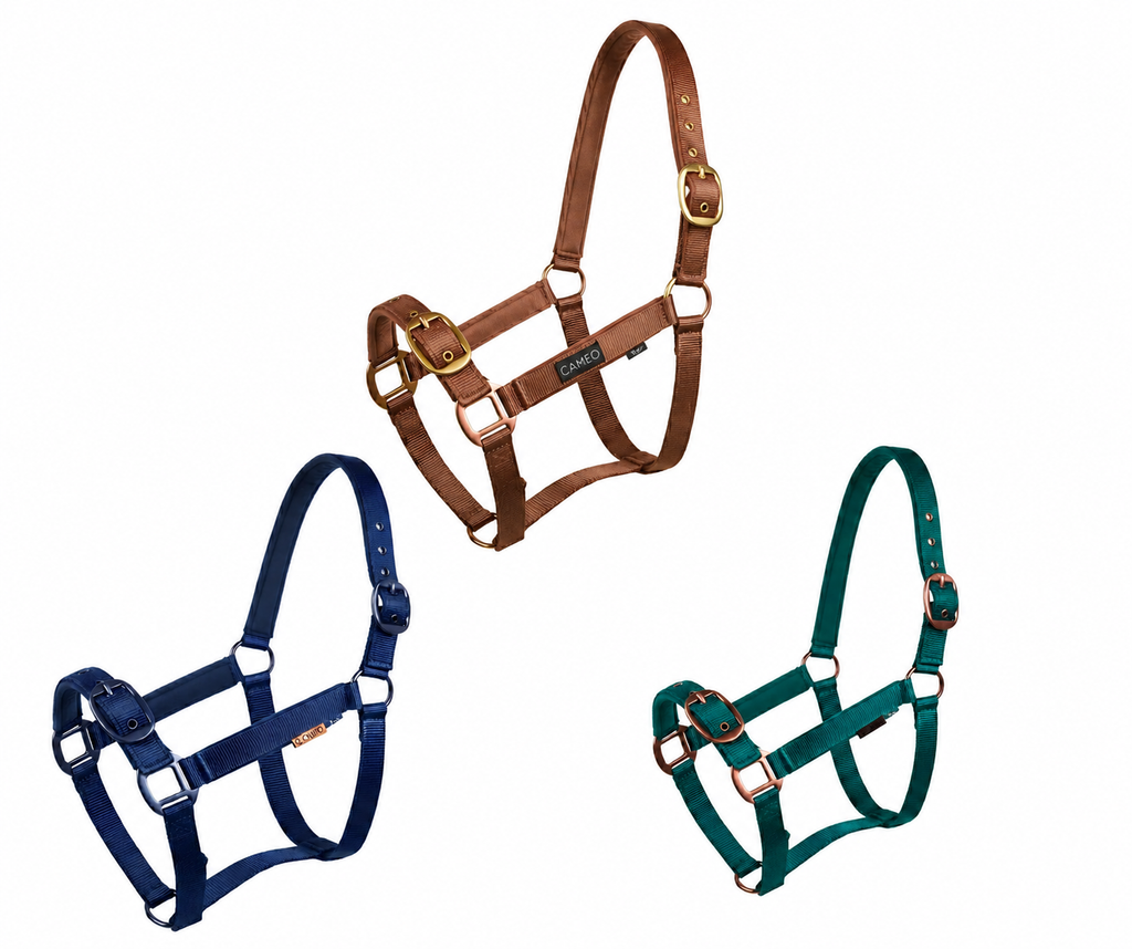 Cameo Equine Suede Padded Headcollar
