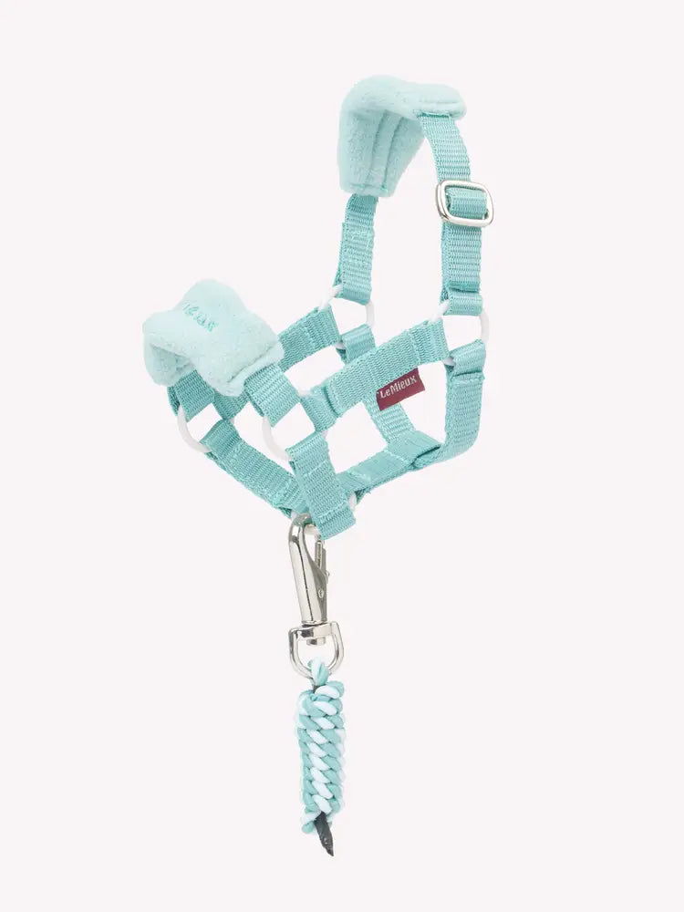 Lemieux Toy Pony Vogue Headcollar and Leadrope