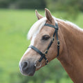 Shires Velociti Gara Plain Inhand Bridle