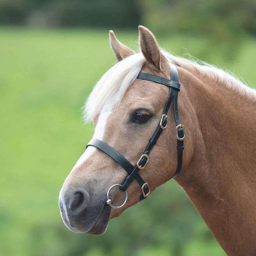 Shires Velociti Gara Plain Inhand Bridle