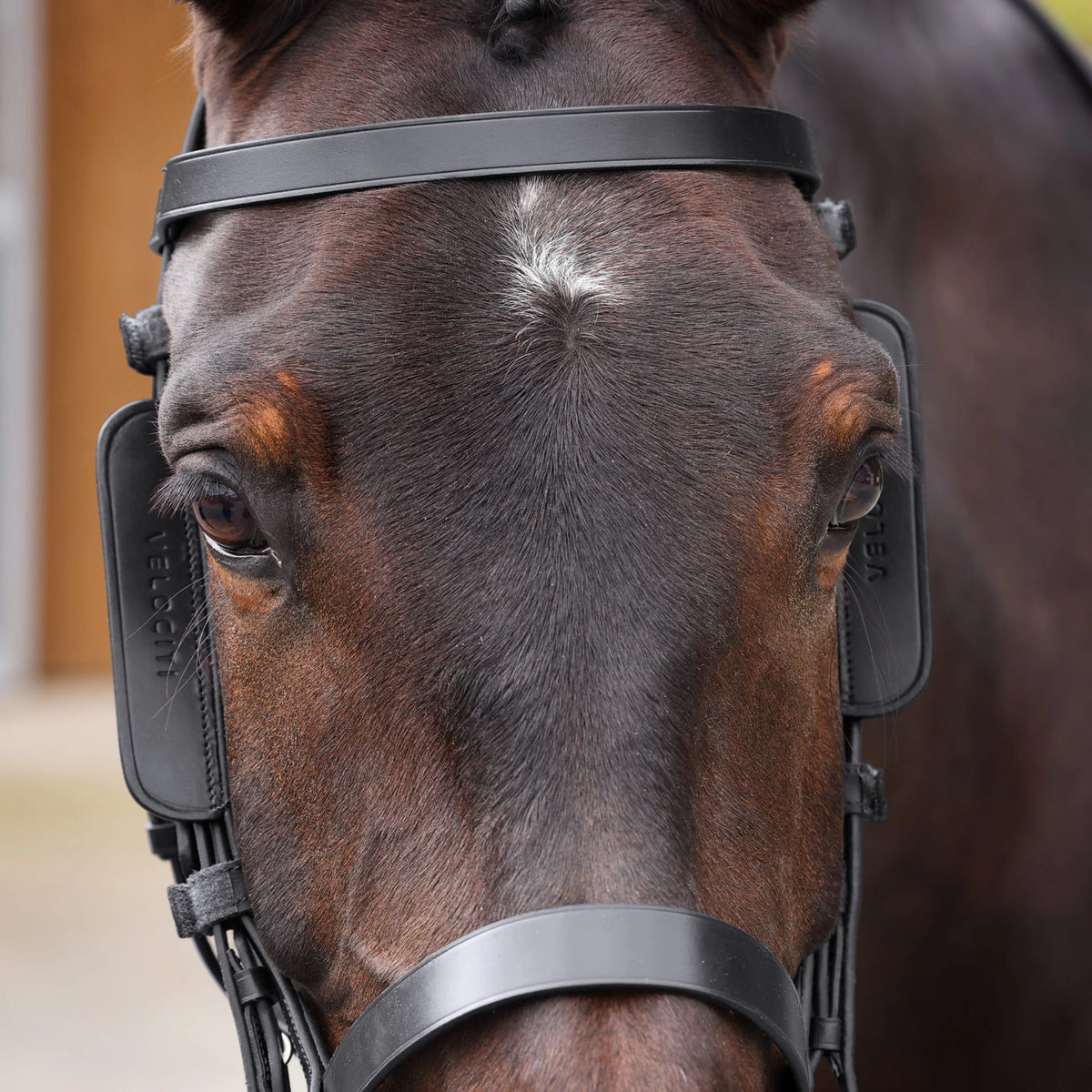 Shires Velociti Gara Leather Blinkers