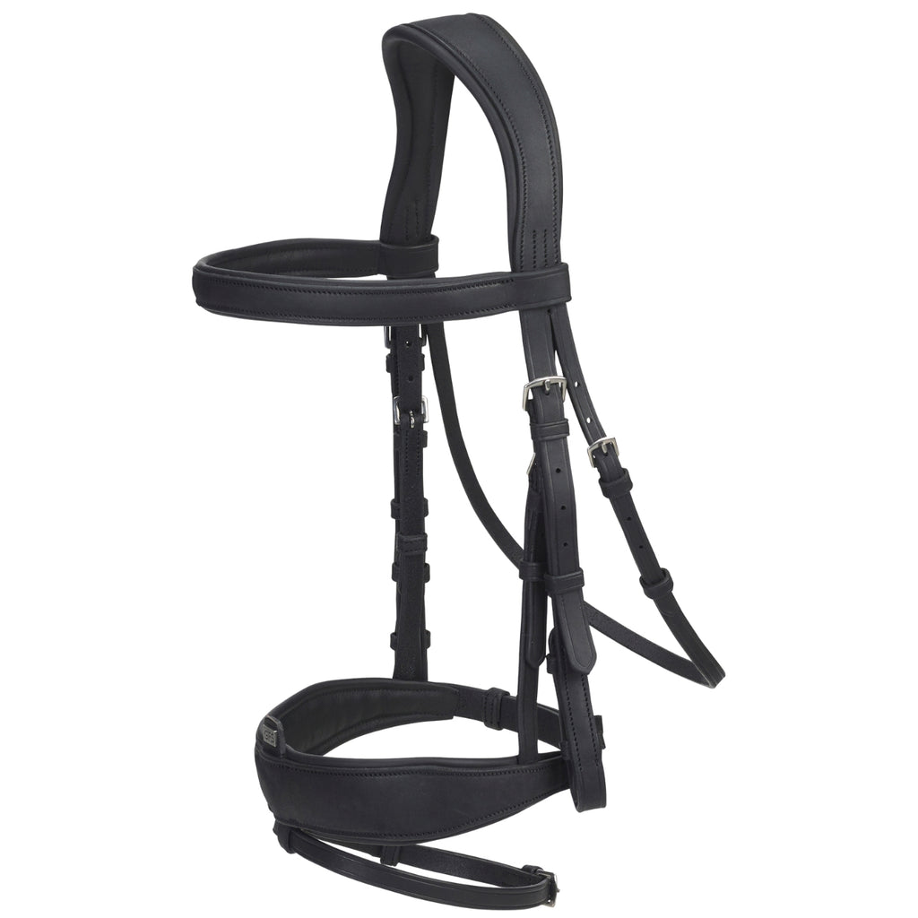 GFS Transition Combi Dressage Bridle