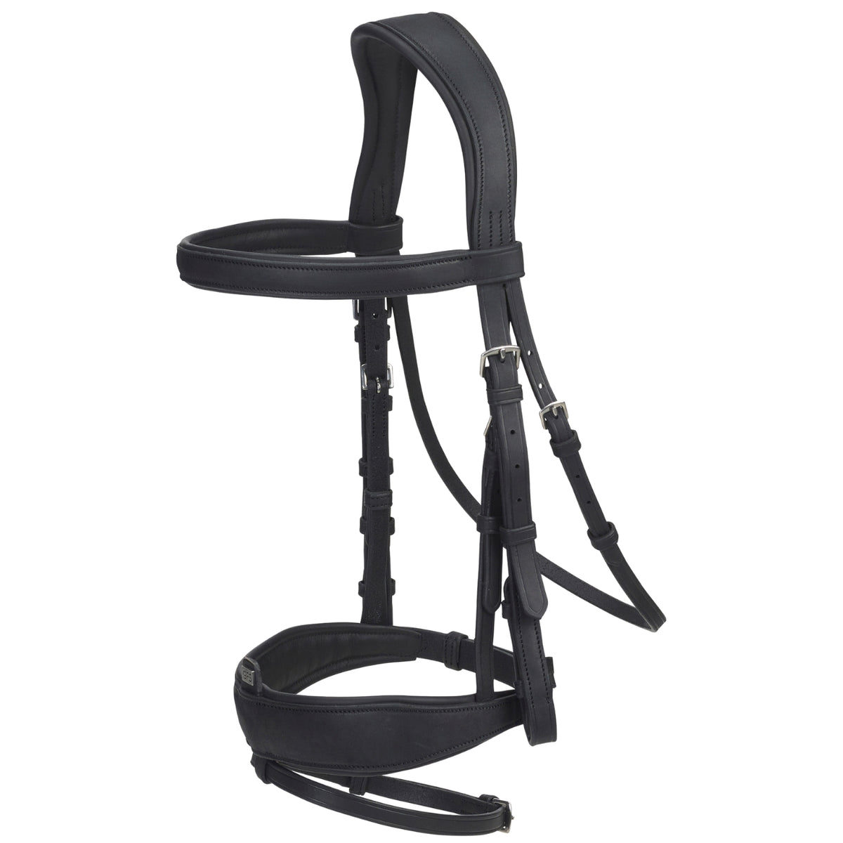 GFS Transition Combi Dressage Bridle