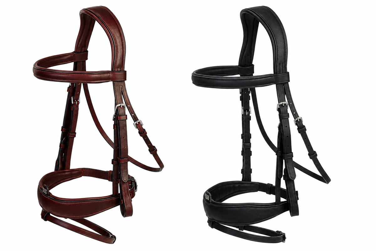 GFS Transition Combi Dressage Bridle