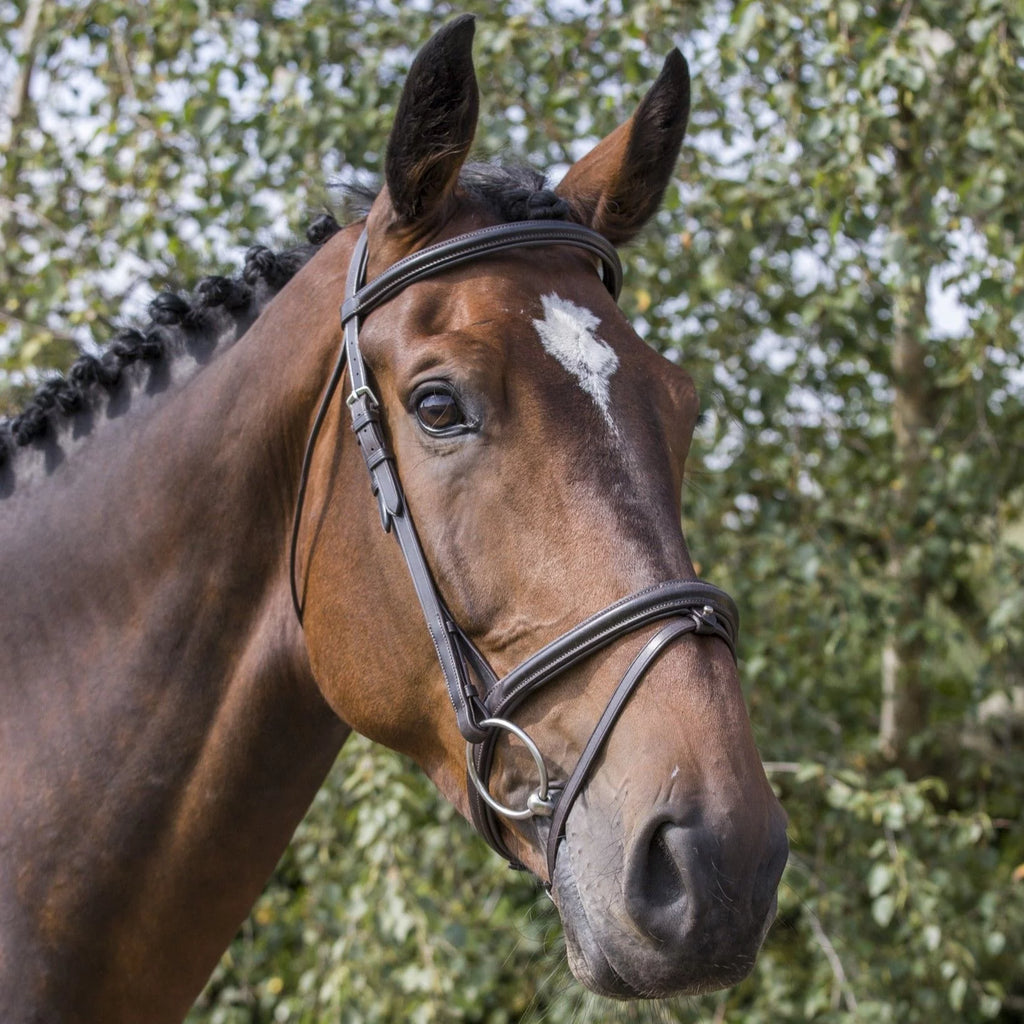 Ecorider Classic Comfort Bridle