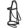 GFS Transition Combi Flash Bridle