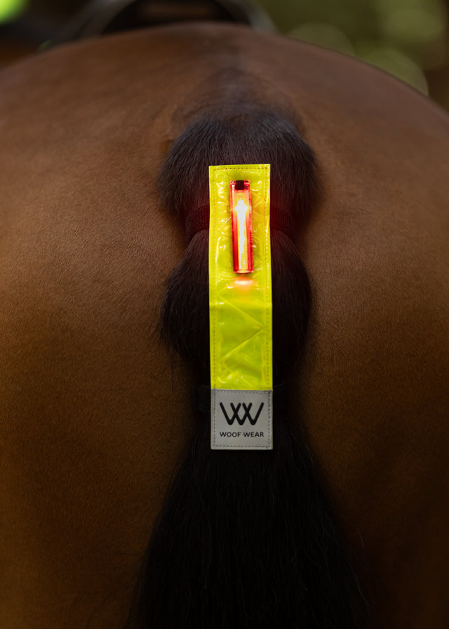 Woof Wear Rechargeable Hi Vis LED Tail Light