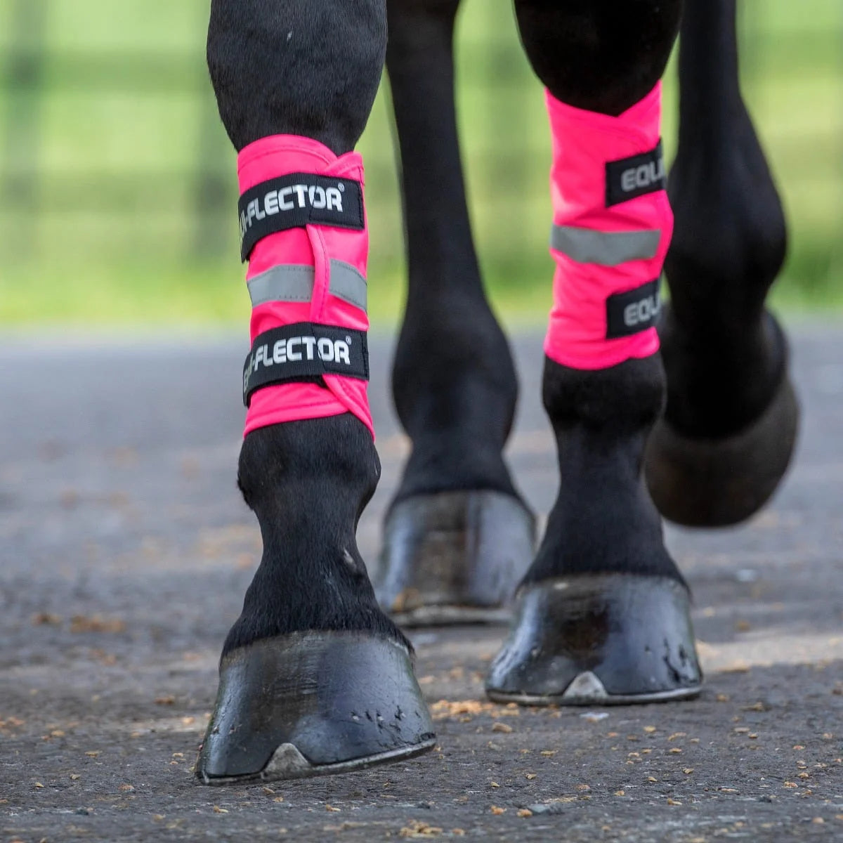 Shires Equi-Flector Wraps