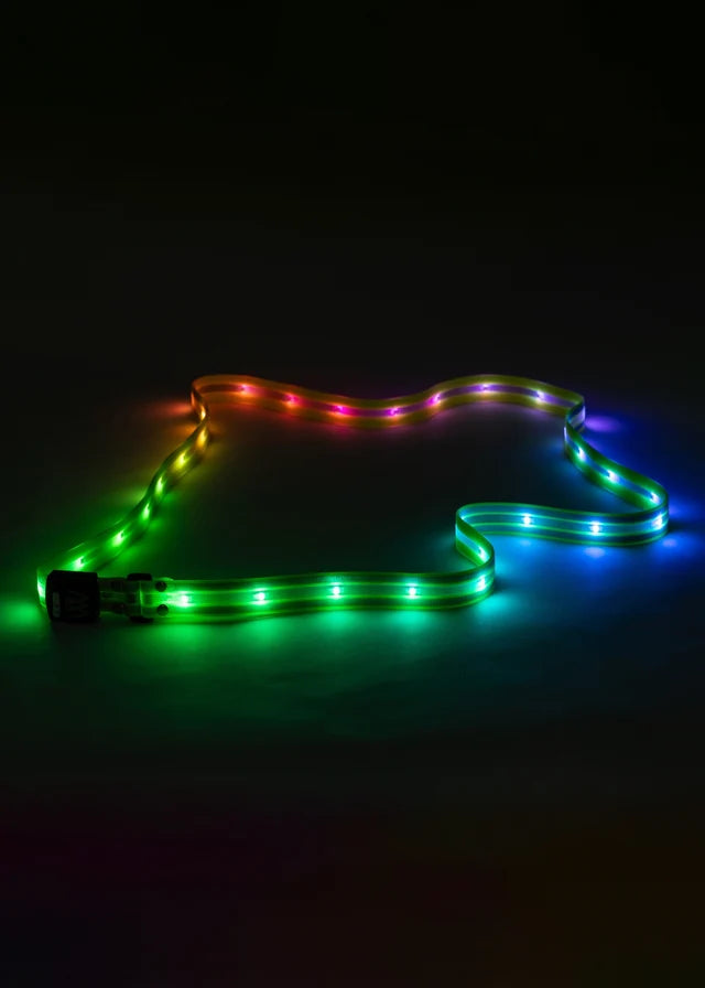 Woof Wear LED Sash