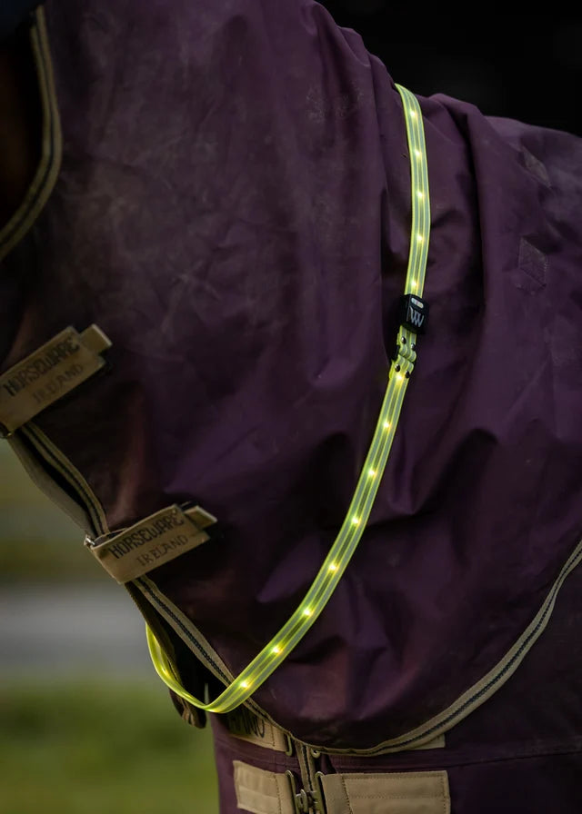 Woof Wear LED Sash