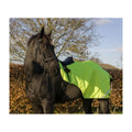 Cameo Equine Wrap Around Exercise Sheet
