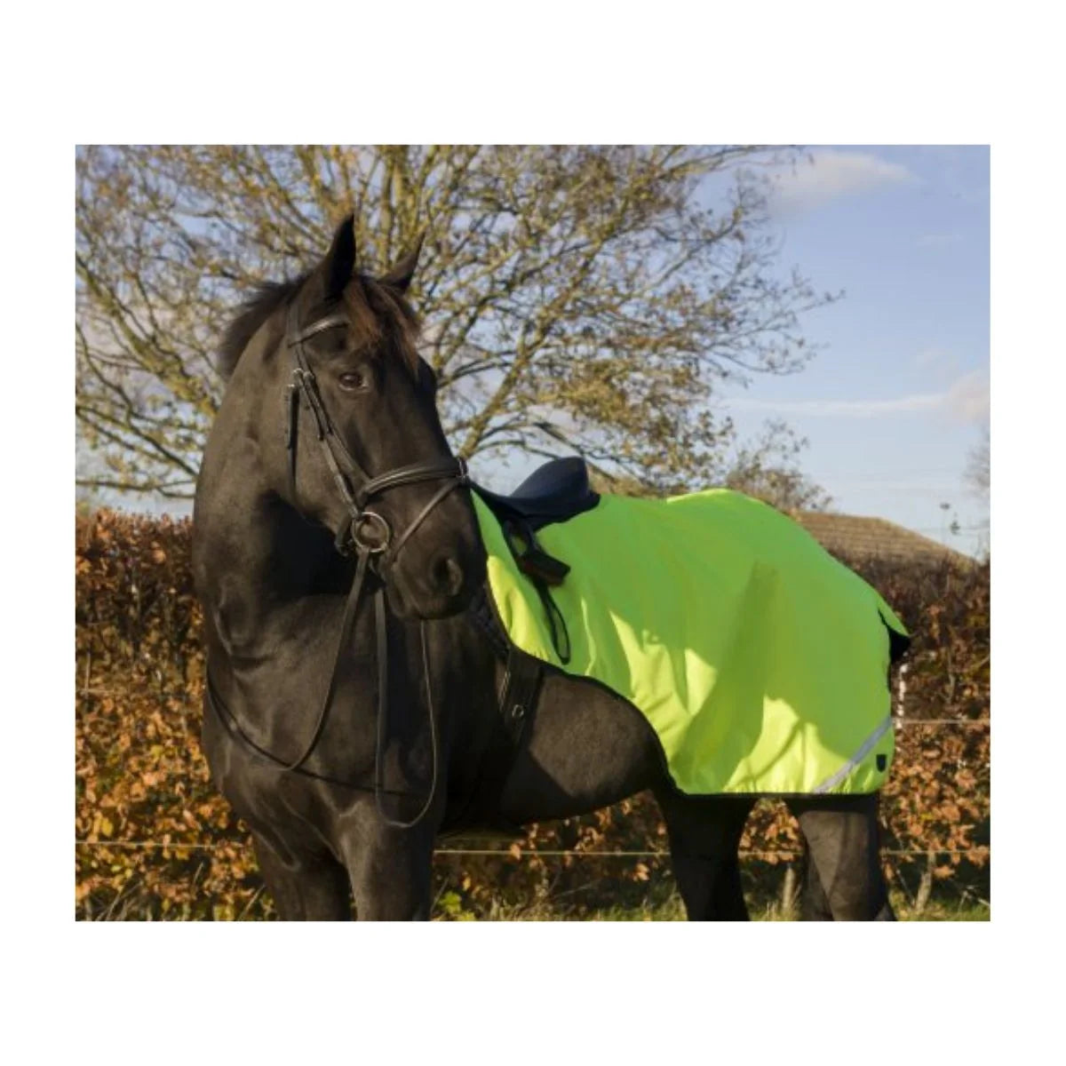 Cameo Equine Wrap Around Exercise Sheet