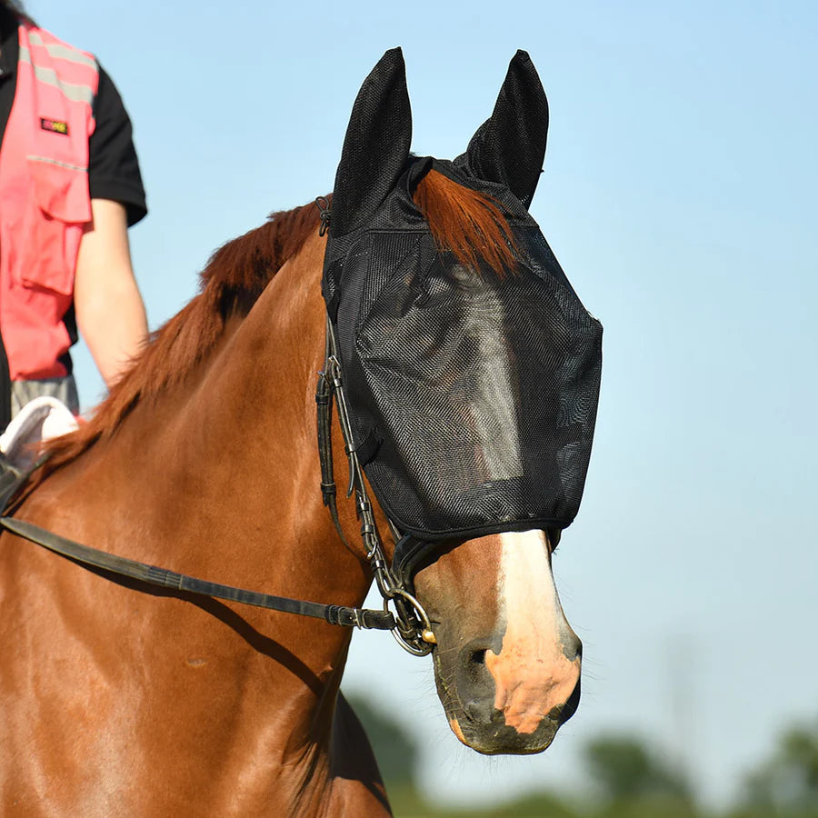Net Relief Riding Mask equilibrium