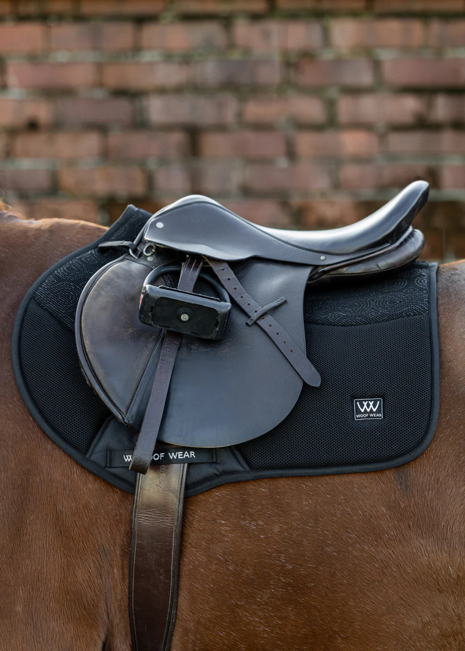Woof wear elite comfort mesh Saddle pad CC