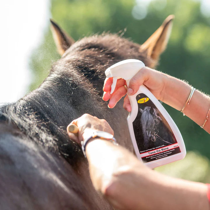 Smart Grooming Tame the mane