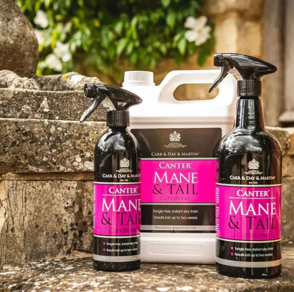 Carr&Day&Martin Canter Mane&Tail