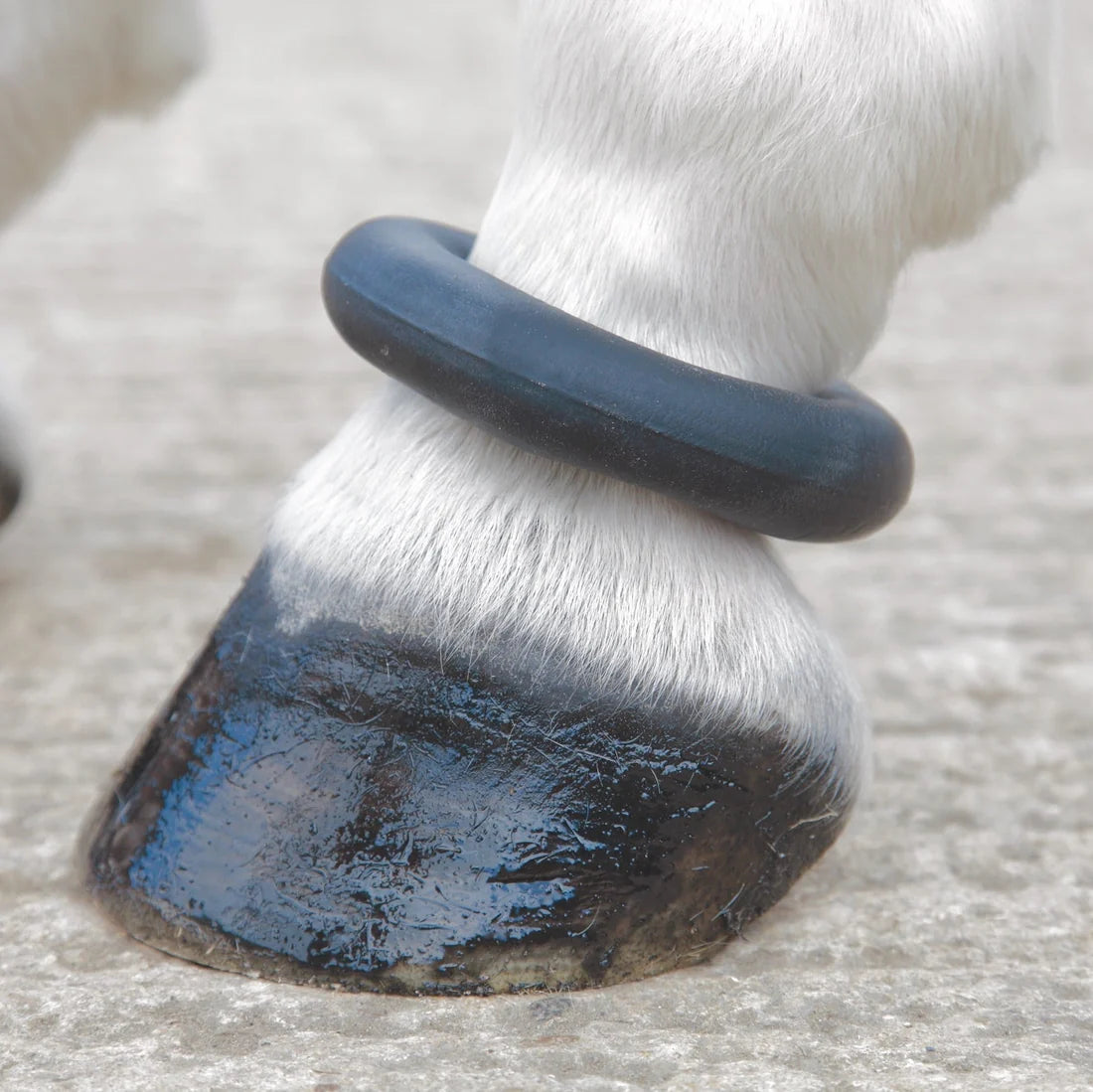 Shires sausage boot/ fetlock ring