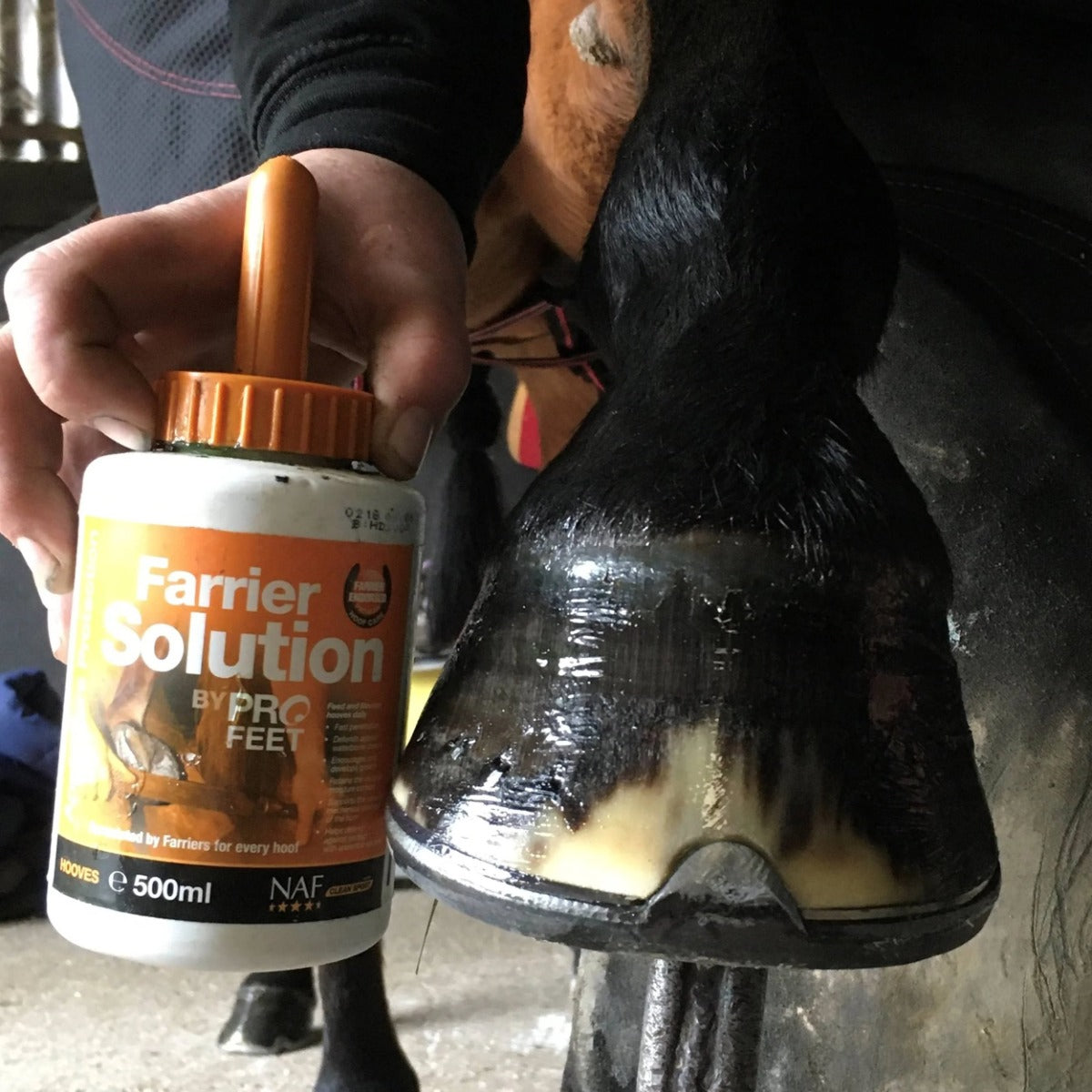 NAF pro feet farrier solution