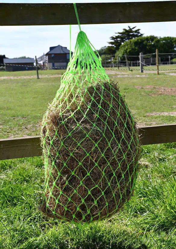 Rhinegold Monarch small hole haynet