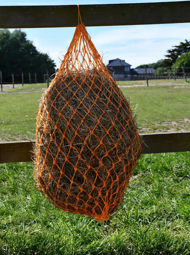 Rhinegold Monarch small hole haynet